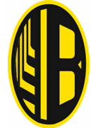 维尔克希夫策logo